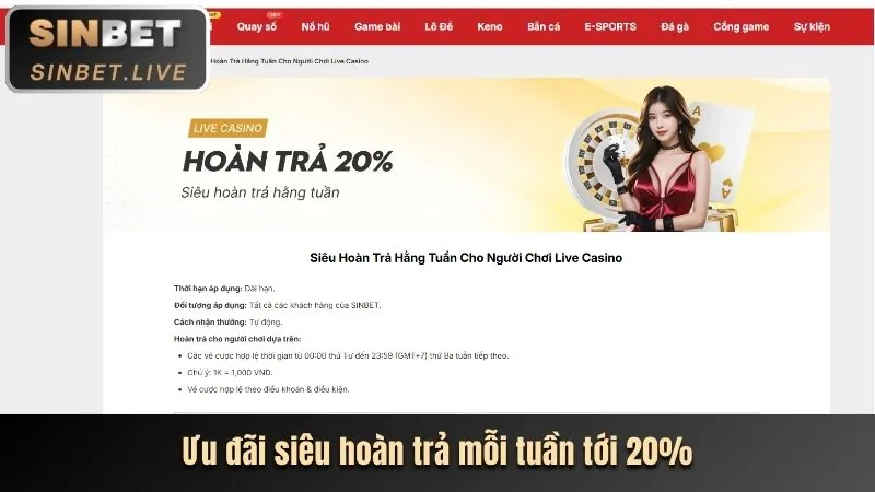 Hoàn trả tiền cược hàng ngày